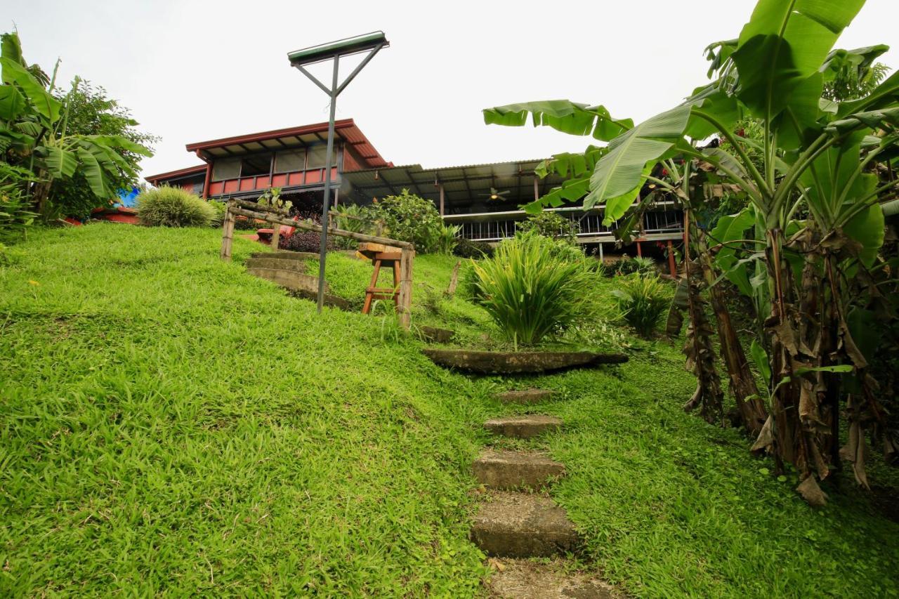 Toucan Lane Hotel And Restaurant Nuevo Arenal Exterior photo